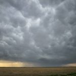 emergência climática entenda porque esta foi a palavra do ano