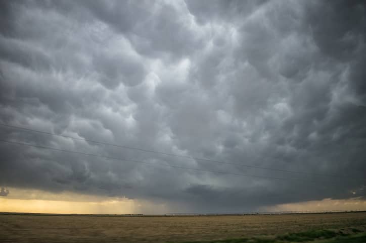 emergência climática entenda porque esta foi a palavra do ano