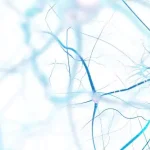 imagem de neurônios